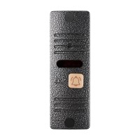 CTV-D10 Plus S (серебро). Вызывная панель цветная. CTV