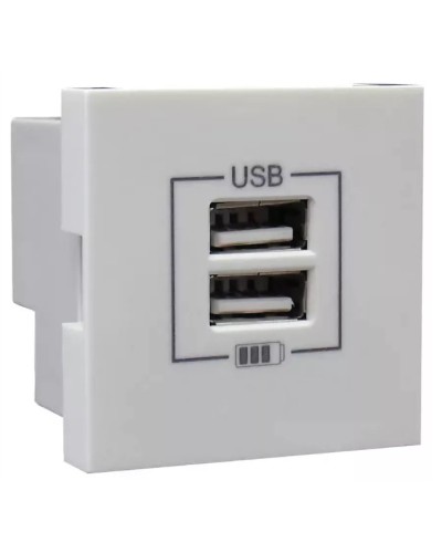 Розетка USB двойная, зарядная, белая (45439 SBR): Розетка USB двойная в Подольске