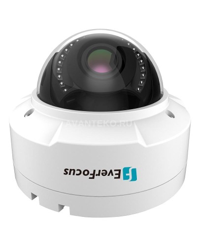EHN-1250. Видеокамера IP купольная. EverFocus в Подольске