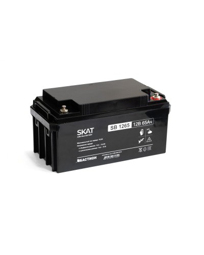 SKAT SB 1265 (2541). Аккумулятор герметичный свинцово-кислотный. Бастион в Подольске