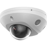 F-IC-2542C2MS(4мм). Бюджетная IP-видеокамера купольная. i-FLOW