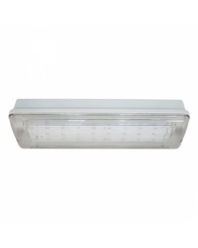SL-213-30LED1.8 исп. 1 IP65. Светильник аварийного освещения. ИП Раченков А.В. в Подольске