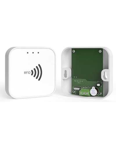 RFID-TM. Считыватель RFID. Ритм в Подольске